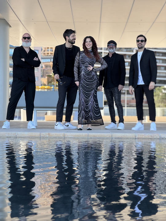 The Sonics - performance photo 5