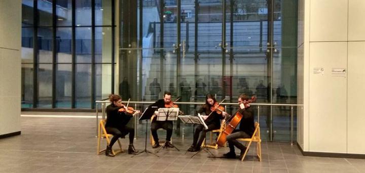 Laura Violin - performance photo 10