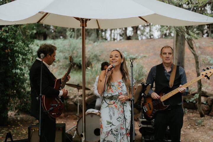 The Foxes
