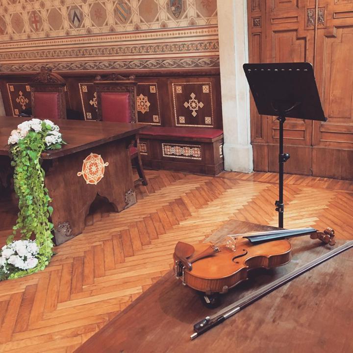 The Milan String Group - performance photo 6