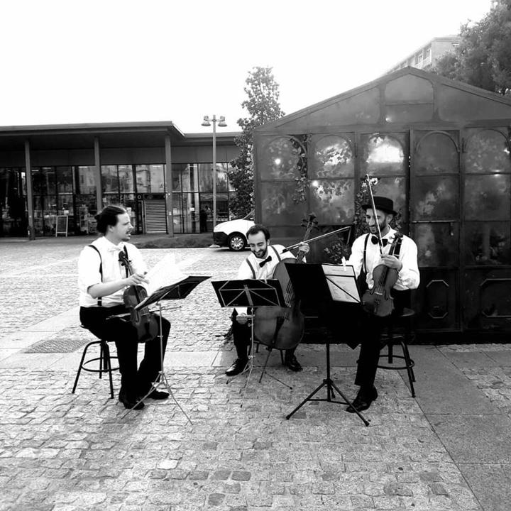 The Milan String Group - performance photo 1