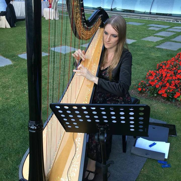 The Milan String Group - performance photo 13