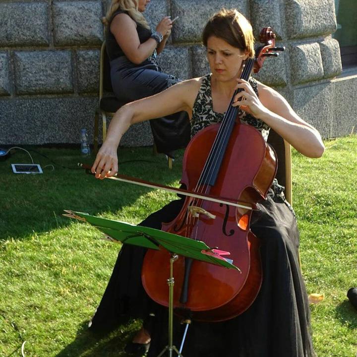 The Milan String Group - performance photo 7