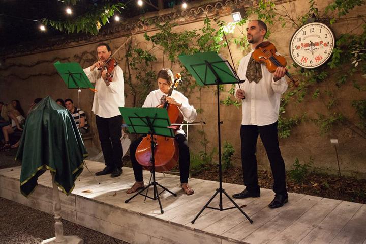 The Milan String Group - performance photo 10