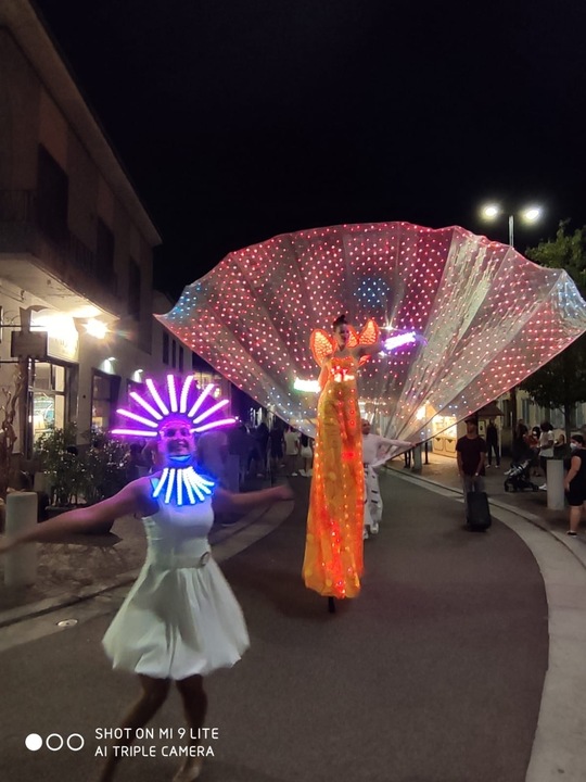 The Italy Fireflies - performance photo 18