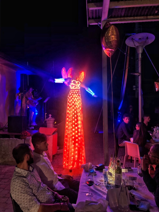 The Italy Fireflies - performance photo 23