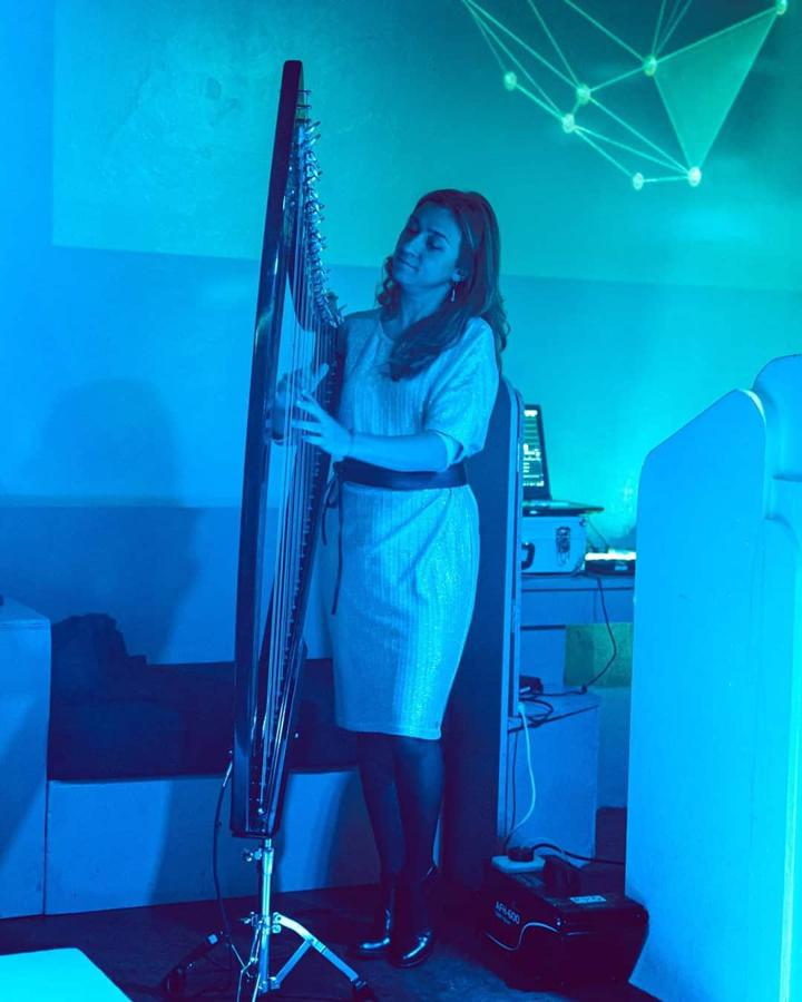 Maria Harpist - performance photo 6