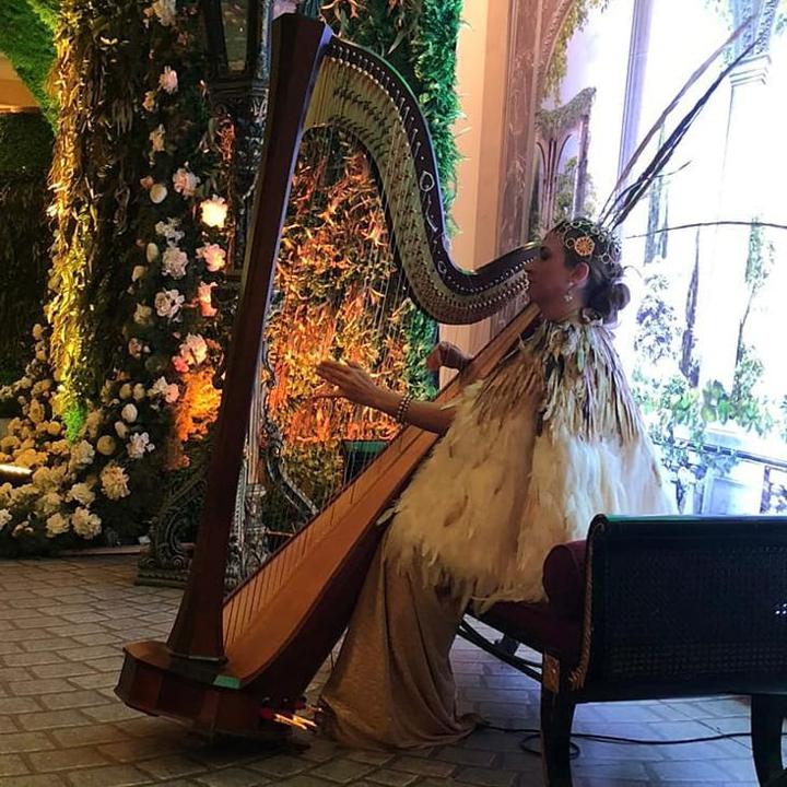 Maria Harpist - performance photo 11