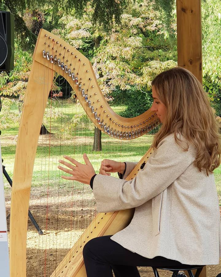 Maria Harpist - performance photo 2