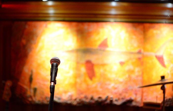 The Rovers - performance photo 8