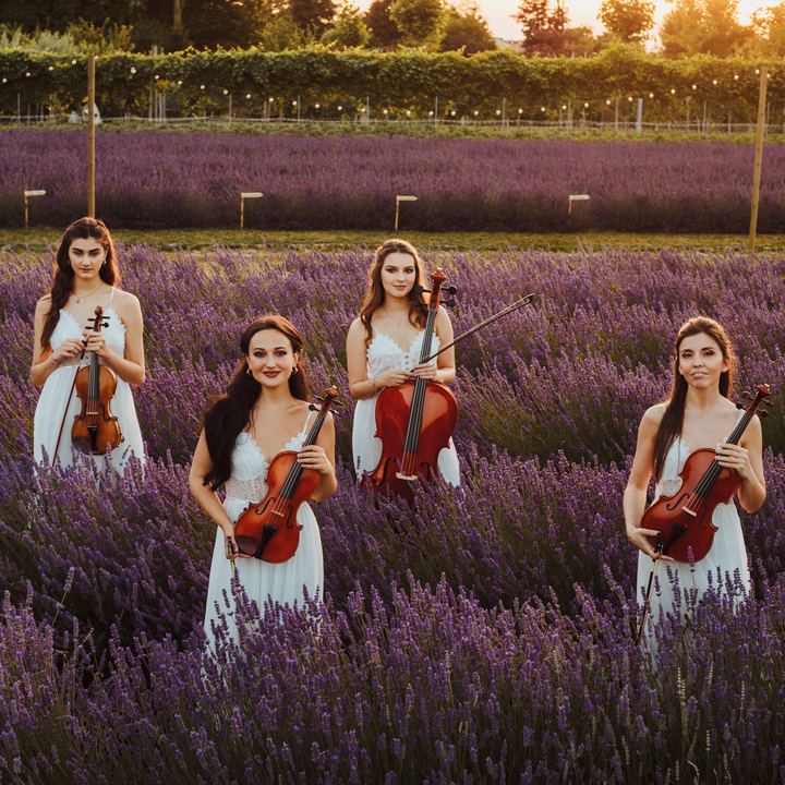 The Italy String Quartet - performance photo 54