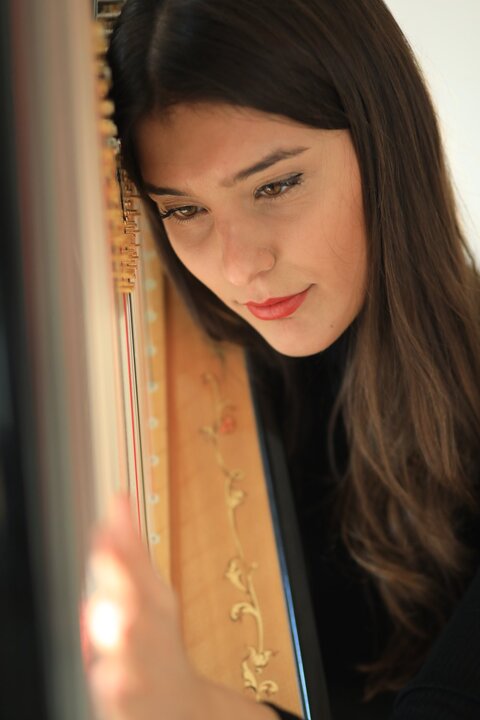 Sofi Harpist - performance photo 13