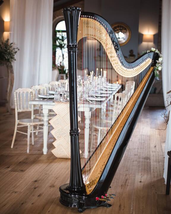 Sofi Harpist - performance photo 2