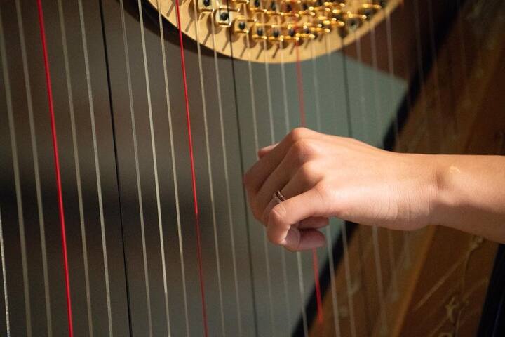 Sofi Harpist - performance photo 6