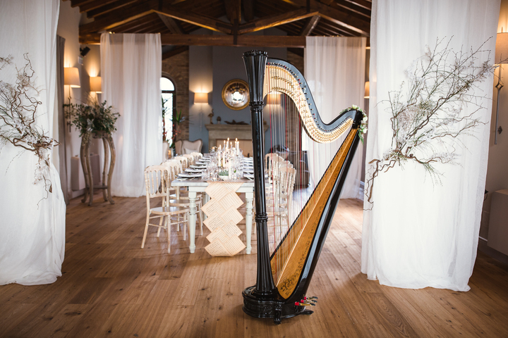 Sofi Harpist - performance photo 17