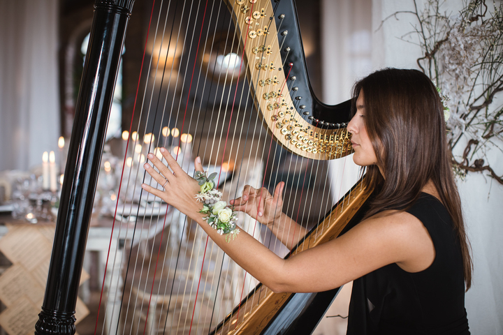 Sofi Harpist - performance photo 18