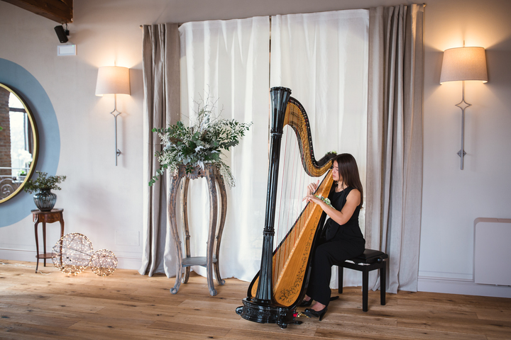 Sofi Harpist - performance photo 14