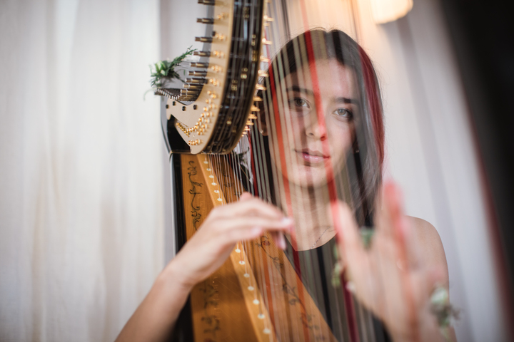 Sofi Harpist - performance photo 16