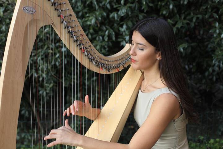 Sofi Harpist - performance photo 9