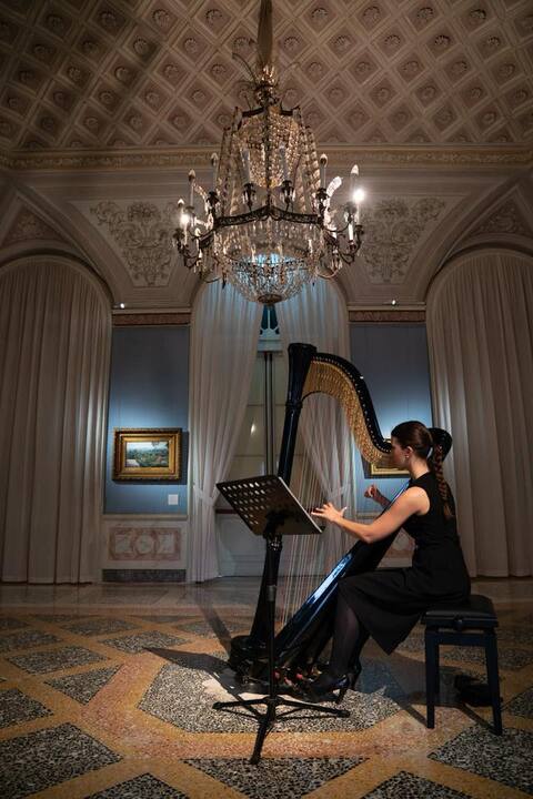 Sofi Harpist - performance photo 7