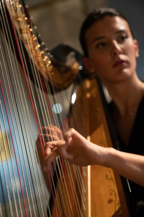 Sofi Harpist - performance photo 11