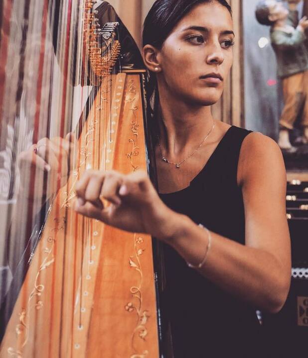 Sofi Harpist - performance photo 8
