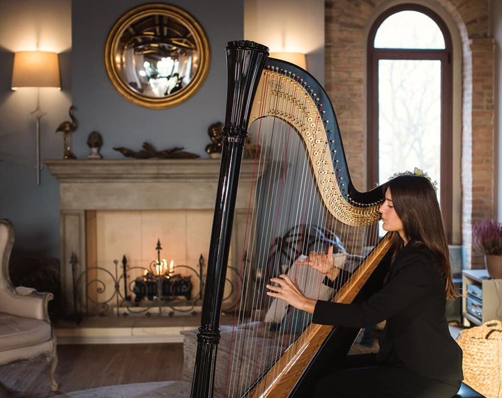 Sofi Harpist - performance photo 12