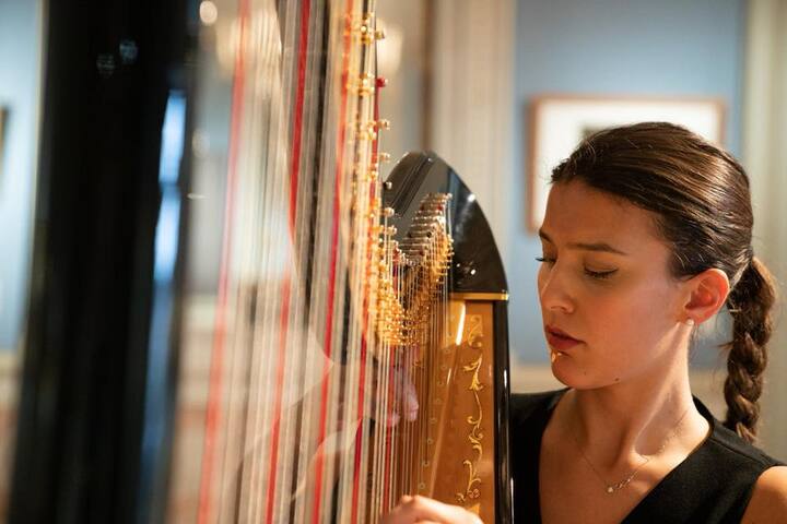 Sofi Harpist - performance photo 5
