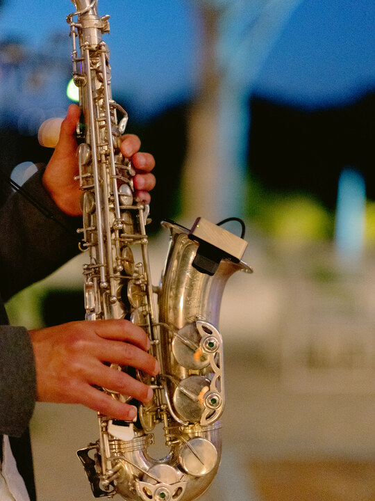 Party Sax & DJ - performance photo 51