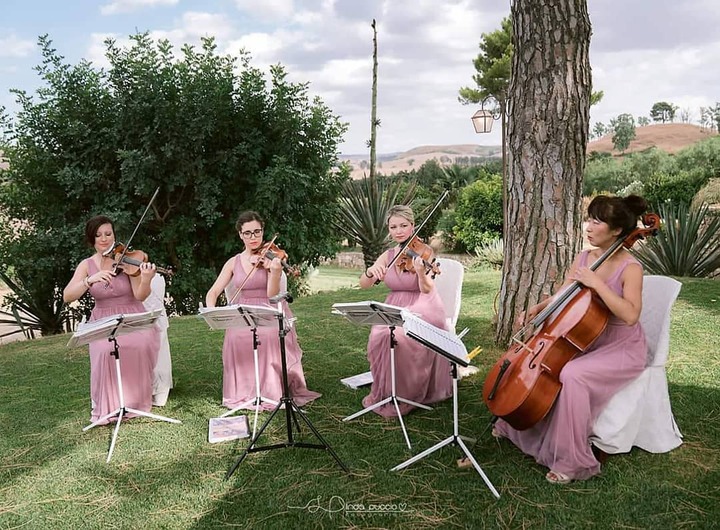 Armonia String Quartet - performance photo 1