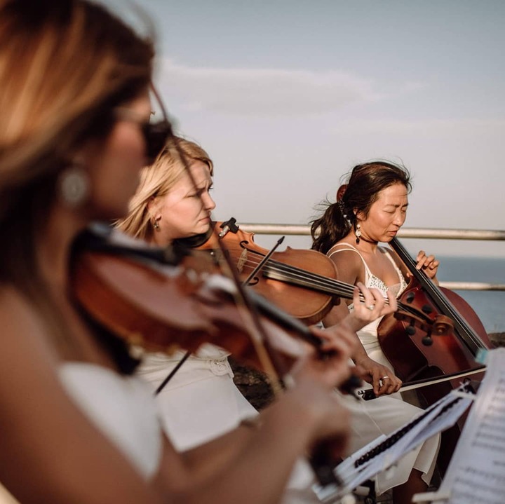 Armonia String Quartet - performance photo 2