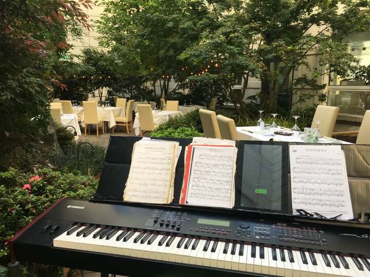 Sonia Pianist - performance photo 13