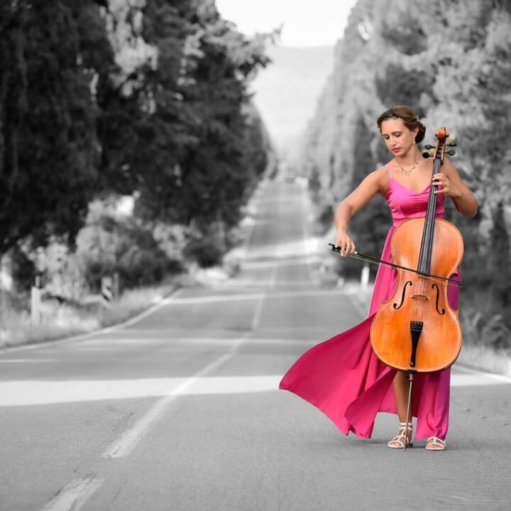 Tuscan Cello & Piano Duo - performance photo 2