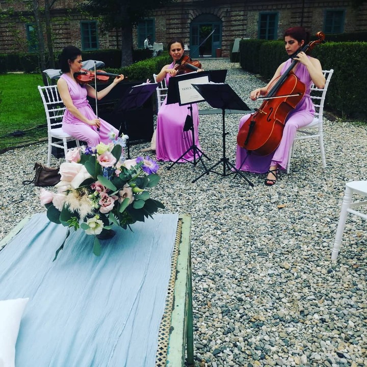 Italian String Quartet - performance photo 24