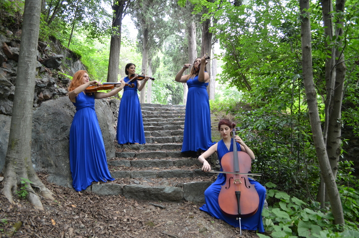 Italian String Quartet - performance photo 32
