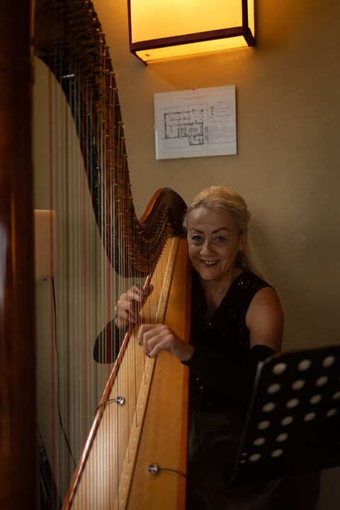 The Siena Harpist & Singer - performance photo 1