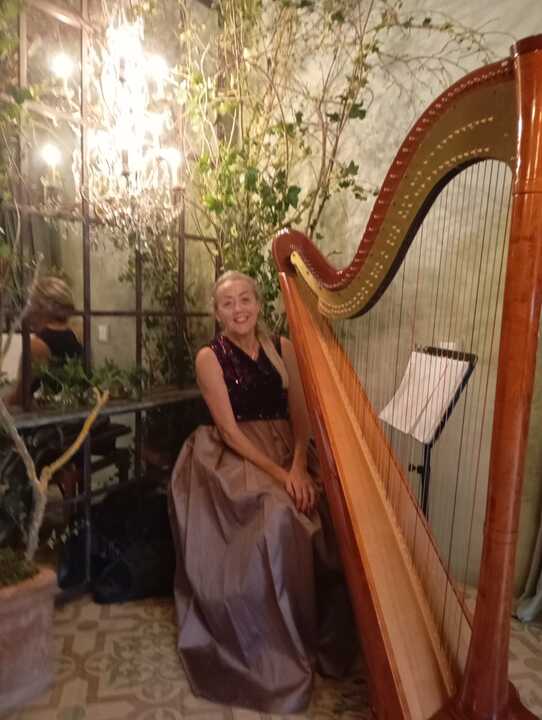The Siena Harpist & Singer - performance photo 24