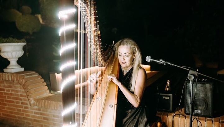 The Siena Harpist & Singer - performance photo 22