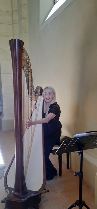 The Siena Harpist & Singer - performance photo 25