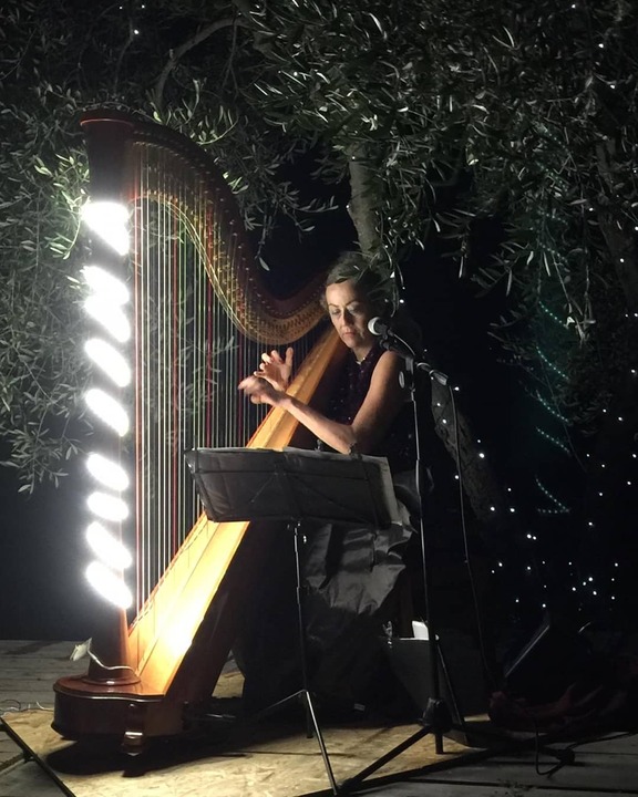 The Siena Harpist & Singer - performance photo 16