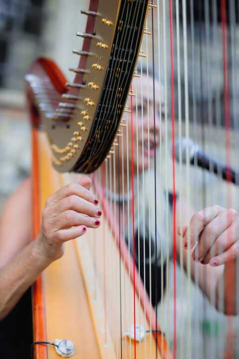 The Siena Harpist & Singer - performance photo 10