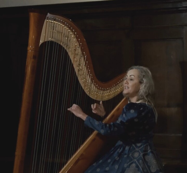 The Siena Harpist & Singer - performance photo 11