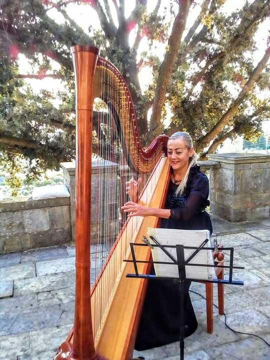 The Siena Harpist & Singer - performance photo 12