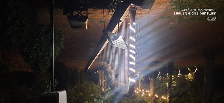 The Siena Harpist & Singer - performance photo 14