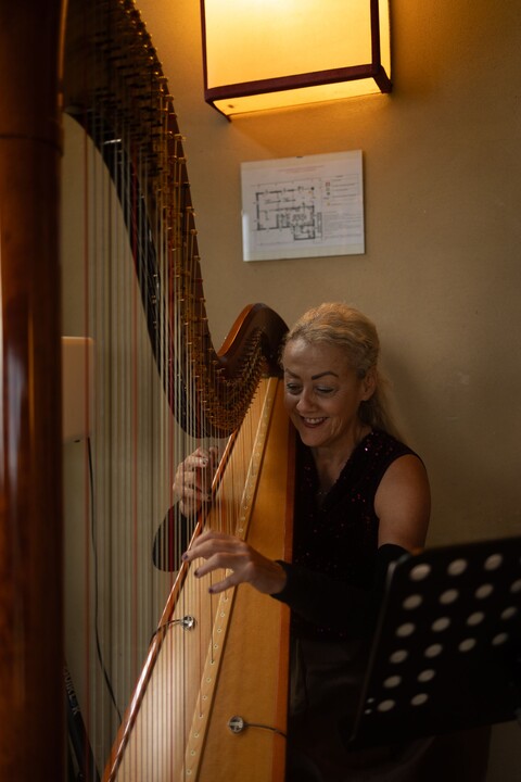 The Siena Harpist & Singer - performance photo 20