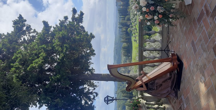 The Siena Harpist & Singer - performance photo 23