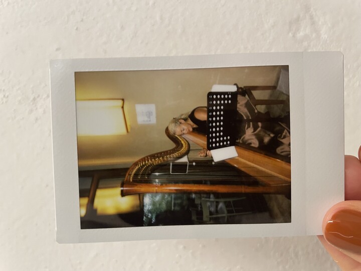 The Siena Harpist & Singer - performance photo 19