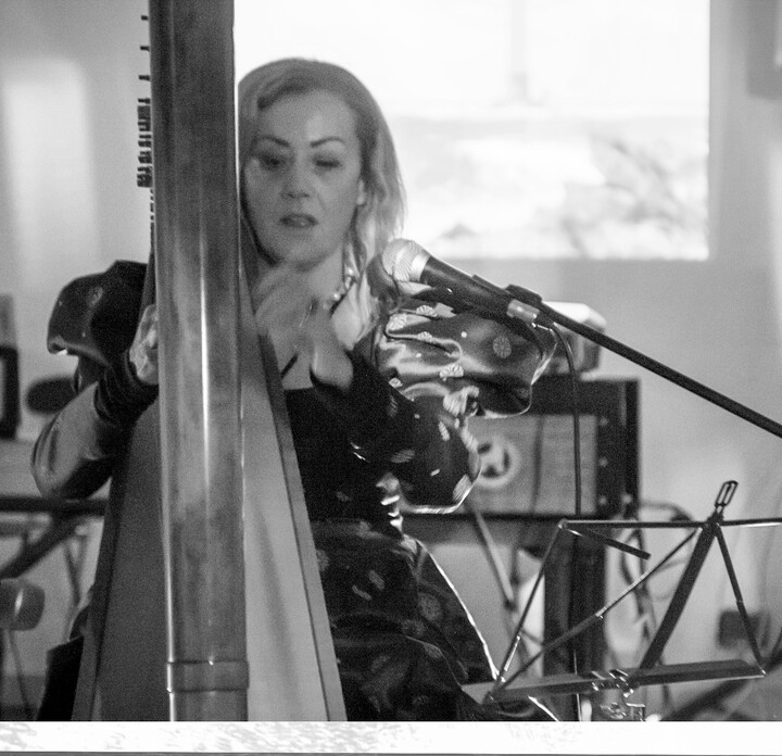 The Siena Harpist & Singer - performance photo 3