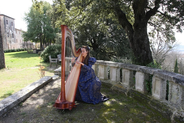 The Siena Harpist & Singer - performance photo 2