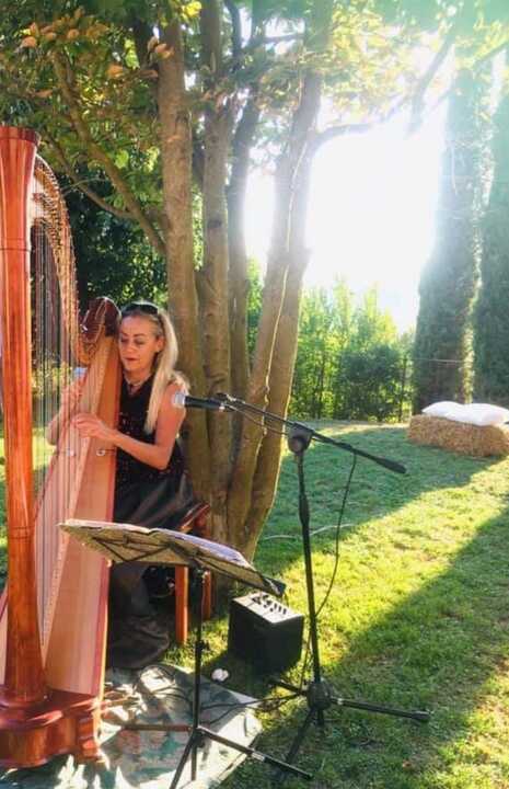 The Siena Harpist & Singer - performance photo 18